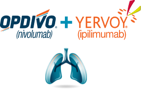 OPDIVO® (nivolumab) + YERVOY® (ipilimumab) logo